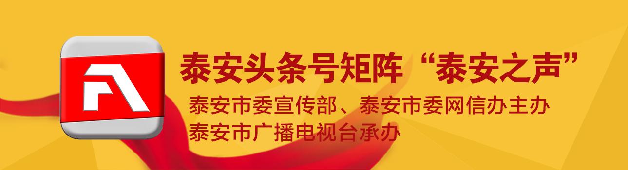 全新泰安本地政信理财产品全面上线！