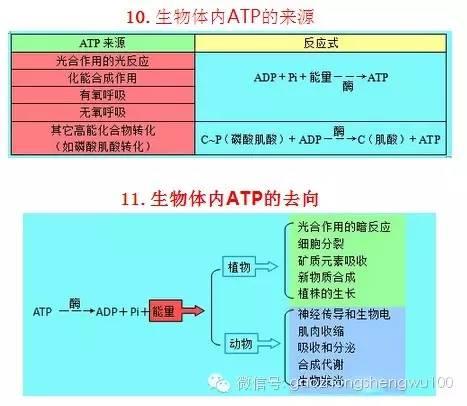 惊爆：22张知识结构图涵盖高中生物所有重点！收藏受益三年！