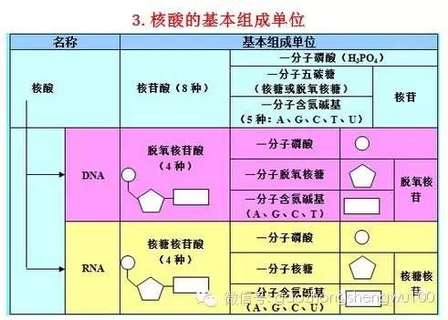 惊爆：22张知识结构图涵盖高中生物所有重点！收藏受益三年！