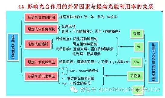 惊爆：22张知识结构图涵盖高中生物所有重点！收藏受益三年！