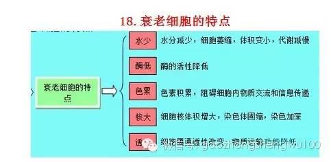 惊爆：22张知识结构图涵盖高中生物所有重点！收藏受益三年！