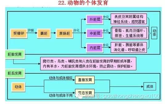 惊爆：22张知识结构图涵盖高中生物所有重点！收藏受益三年！