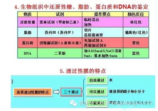 惊爆：22张知识结构图涵盖高中生物所有重点！收藏受益三年！