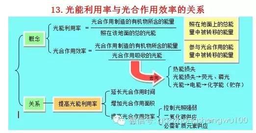 惊爆：22张知识结构图涵盖高中生物所有重点！收藏受益三年！