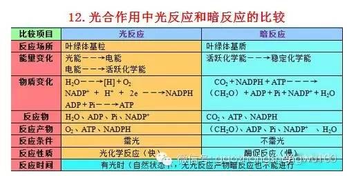 惊爆：22张知识结构图涵盖高中生物所有重点！收藏受益三年！