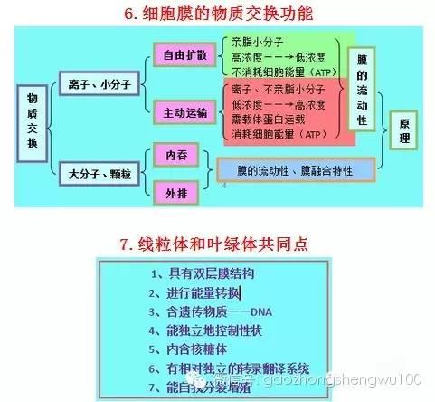 惊爆：22张知识结构图涵盖高中生物所有重点！收藏受益三年！