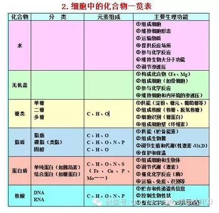 惊爆：22张知识结构图涵盖高中生物所有重点！收藏受益三年！