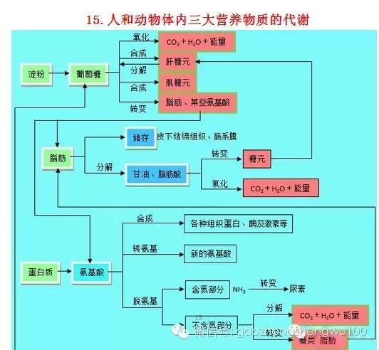 惊爆：22张知识结构图涵盖高中生物所有重点！收藏受益三年！