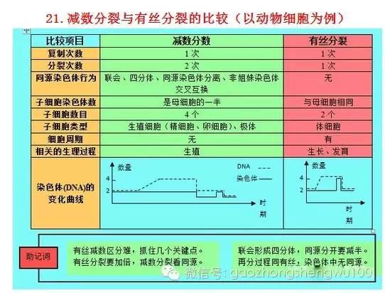 惊爆：22张知识结构图涵盖高中生物所有重点！收藏受益三年！