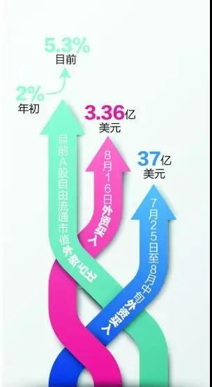 外资抄底A股？沪股通今日净买入40亿元 创年内次新高