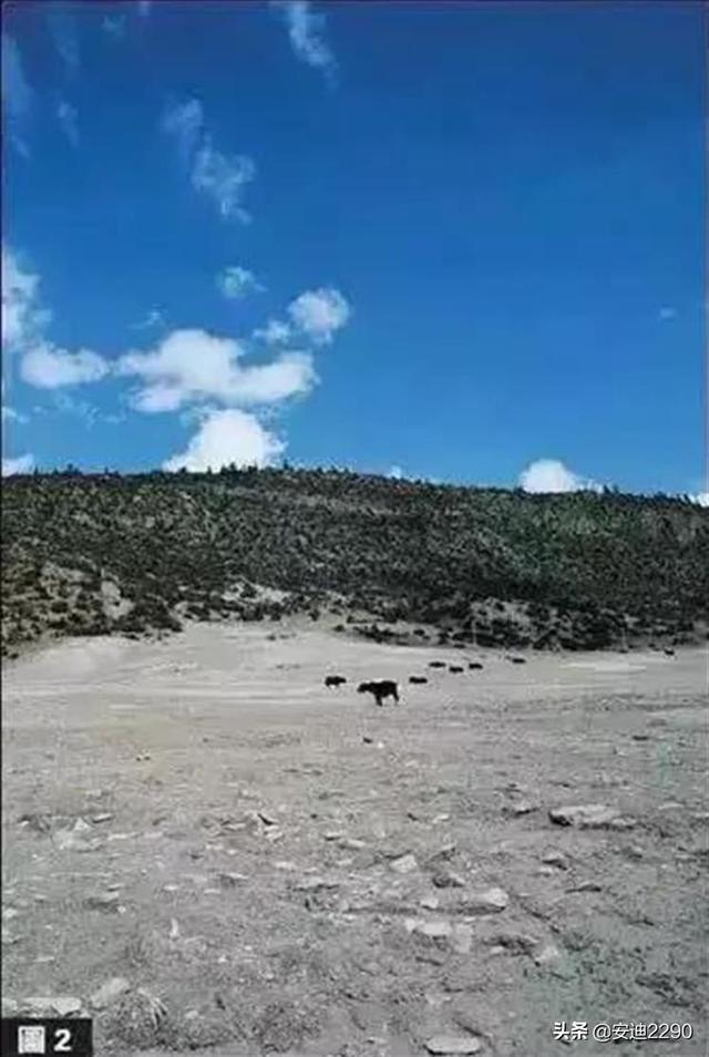 千万不要这样拍，摄影构图取景10大禁忌