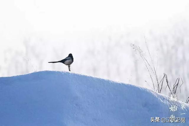 微湿易乾沙软路 大寒却暖雪晴天