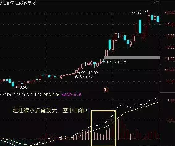 股神林园的肺腑之言：从穷人到富人的全过程，看懂了想亏钱都难