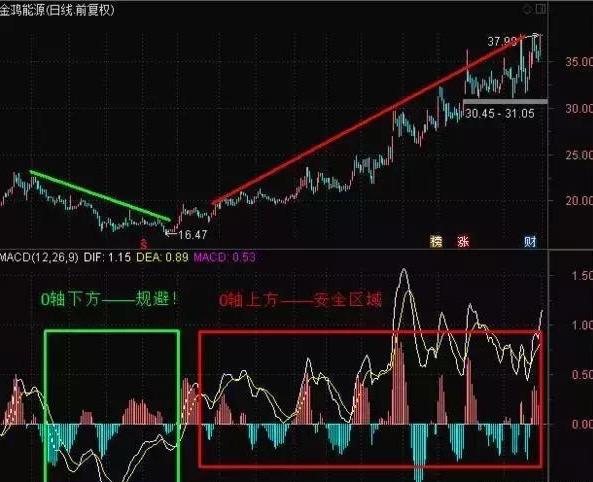 股神林园的肺腑之言：从穷人到富人的全过程，看懂了想亏钱都难