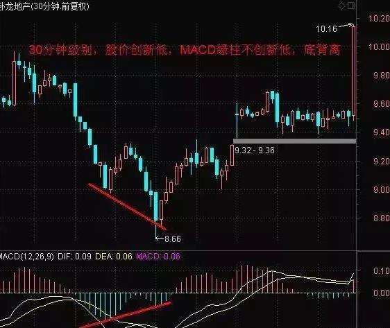 股神林园的肺腑之言：从穷人到富人的全过程，看懂了想亏钱都难