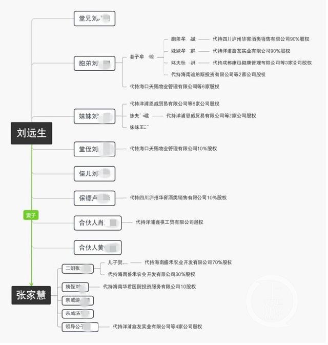 海南省高院女副院长张家慧被调查：200亿商业帝国背后的举报风波