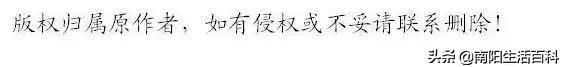 南阳因这家千亿市值巨头而“上榜”全国仅37城市！看一下是哪企业