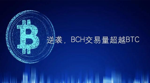 逆袭！BCH交易超越BTC