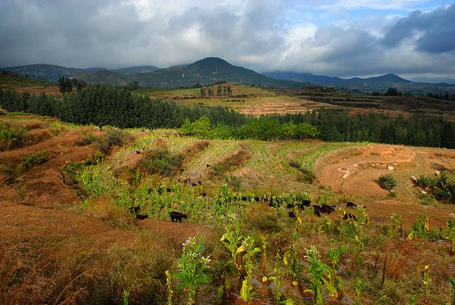 赶往山东临朐聚粮崮挖财宝的韩国朋友，你们要把山峰翻个底朝天？