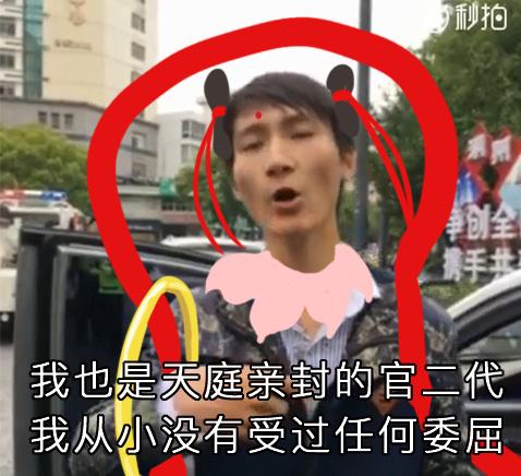 “我从小没受过任何委屈” 当各种游戏中的“富二代”遭遇扣车后