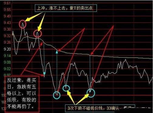 中国股市：长期持有一只股票不理会涨跌，坚持每天做T，翻500倍