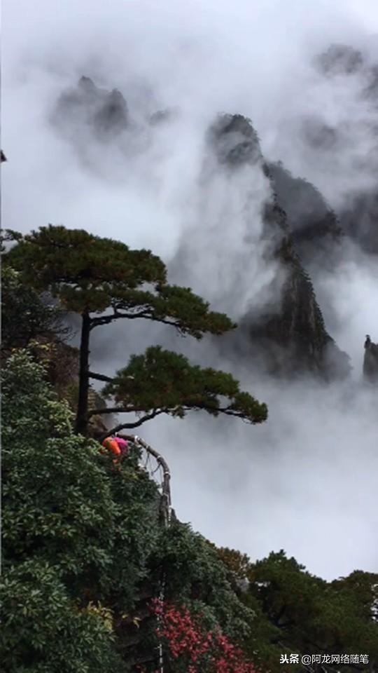 保险案例：如何花最少的广告费，做最大的宣传效果