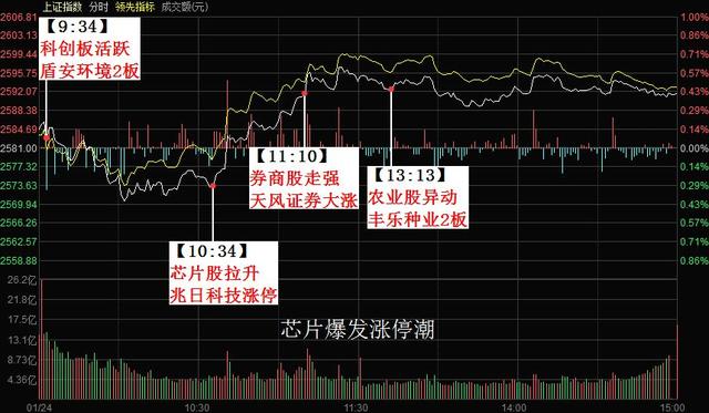 龙头首阴战法？没先手你首阴个锤子！人气王反包概率多大