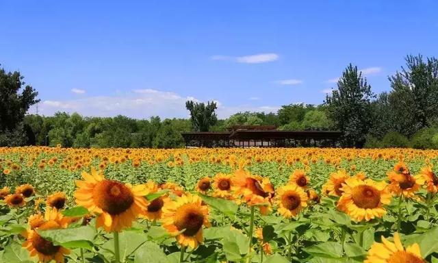 2018北京地铁最新首末班车时间表！沿线景点及如厕指南！珍藏版