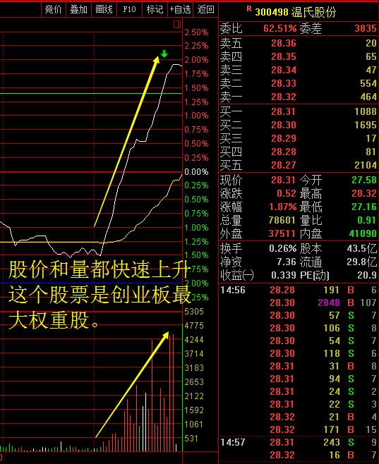 东方红陈晨：神秘资金尾盘突袭创业板，这是什么意思？